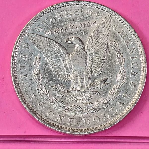 1891 Morgan Silver Dollar, side view
