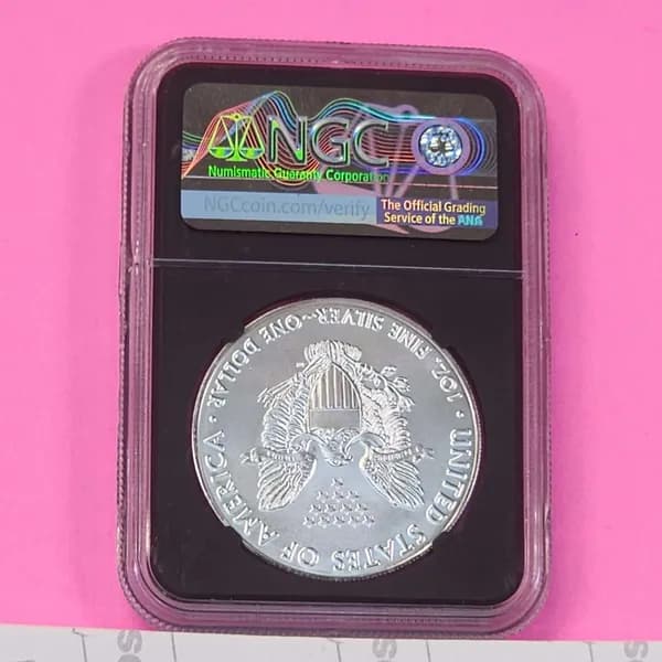 Gold & Silver Coin Auction, close-up view