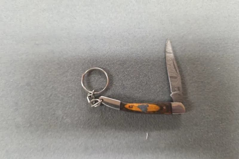 Folding Pocket Knife w/ Tortoiseshell Handle & Keychain, rear view