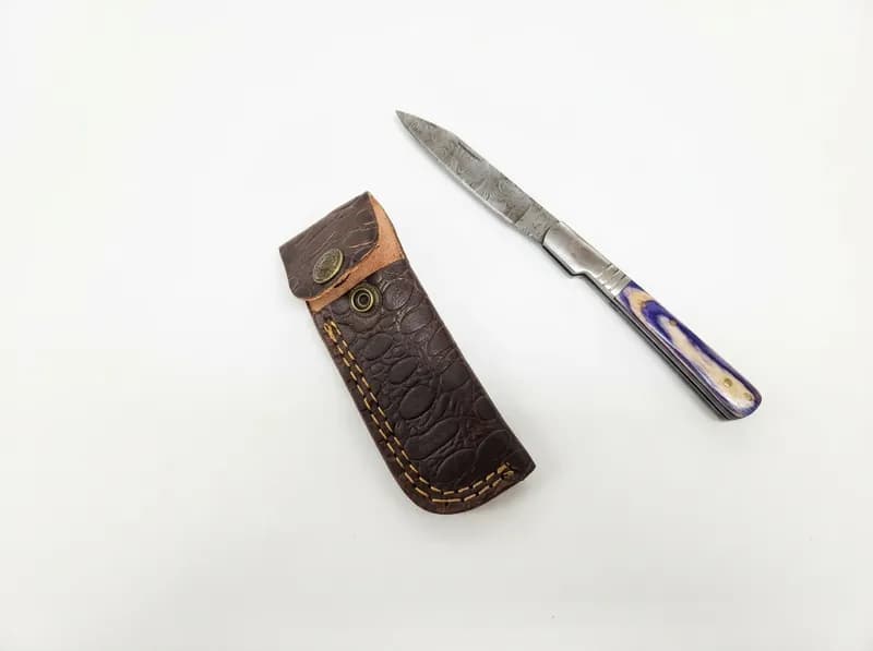 Fixed Blade Knife w/ Leather Sheath & Purple Handle, primary view