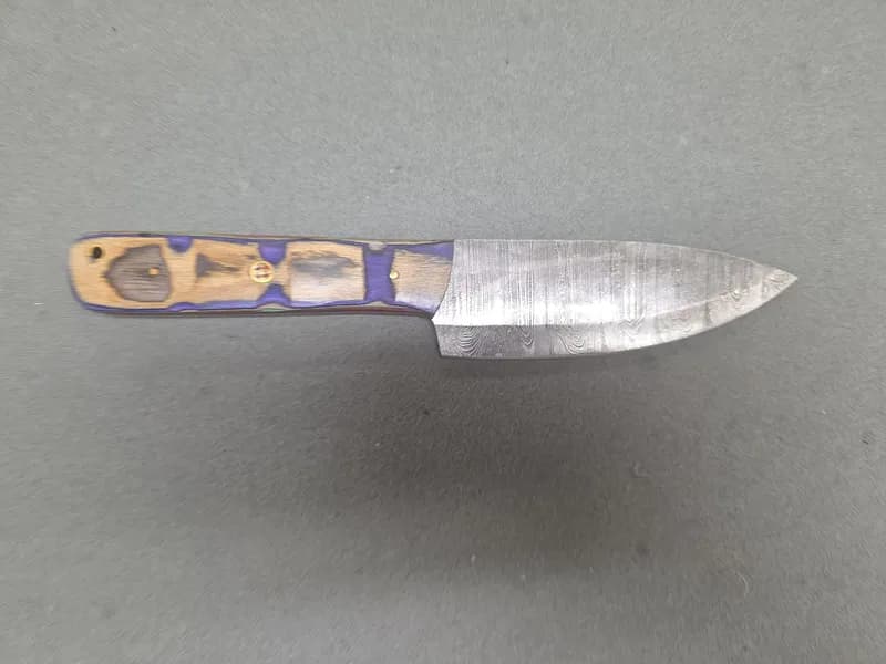 Fixed Blade Knife with Damascus-Pattern Blade and Multicolor Laminated Wood Handle, rear view