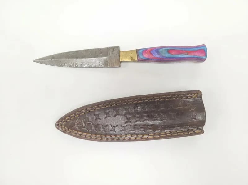 Fixed Blade Dagger Knife with Patterned Blade, Multicolor Handle and Leather Sheath, primary view